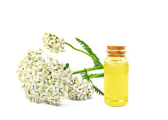 yarrow essential oil in a bottle isolated on a white background © slawek_zelasko