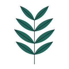 Leaves flat illustration