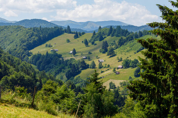 Naklejka na ściany i meble The carpathian landscape at Bran in Romania