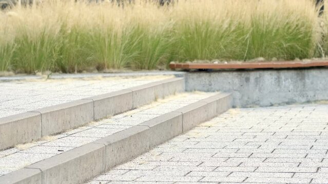 Legs of elementary school students jumping up the stairs in the school yard.