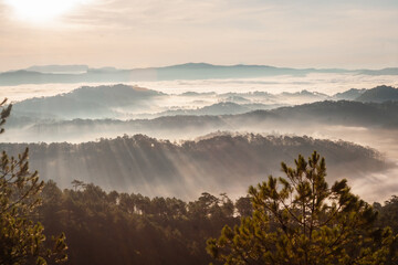 The sun shines brightly on Dalat's pine forests and hills covered in morning mist