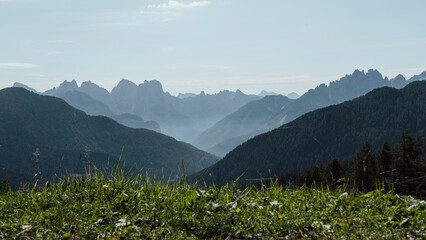 Panorama of the Italian Dolomites. Rocky mountain range on the horizon. Forests, lush meadows and high-altitude excursions. Elevated view near the Val di Zoldo. Sunny day in the mountains. - obrazy, fototapety, plakaty