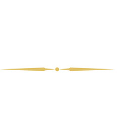 Gold Line Divider 