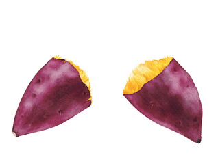 Roasted sweet potato cut in half (with steam) painted with digital watercolor