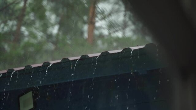 A downpour in a forest area. Humid climate. House in a pine forest. Raindrops fall from the metal canopy of the roof