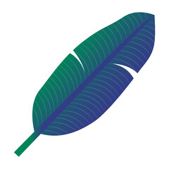 Banana leaf gradient illustration