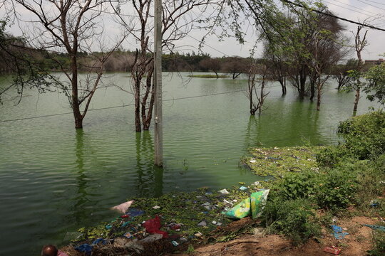 Lal Talab Lake in Medchal of Telangana in India was the lifeline of hundreds of villages around it. It has become a garbage dump now.