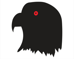 eagle vector art illustration