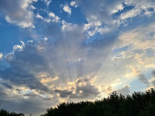 the cirrus clouds at the vibrant sunset