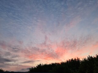 the cirrus clouds at the vibrant sunset