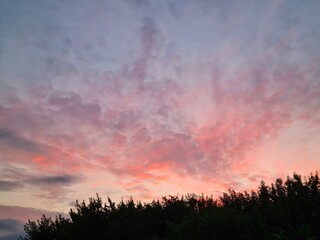 Fototapeta premium the cirrus clouds at the vibrant sunset