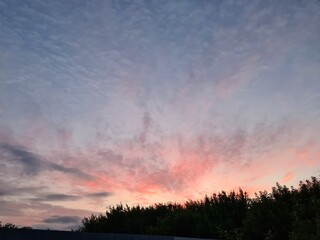 the cirrus clouds at the vibrant sunset