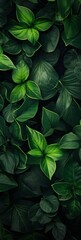 Green leaves pattern vertical background, natural background and wallpaper.