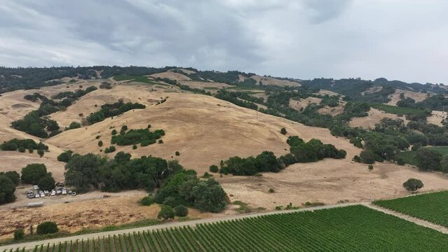 Aerial California Boonville vineyard valley farms hills 3. Mendocino county, California. Grape, wine farm regions along Navarro River. Mountains, hills, valley and farming. Redwood and pine forests.