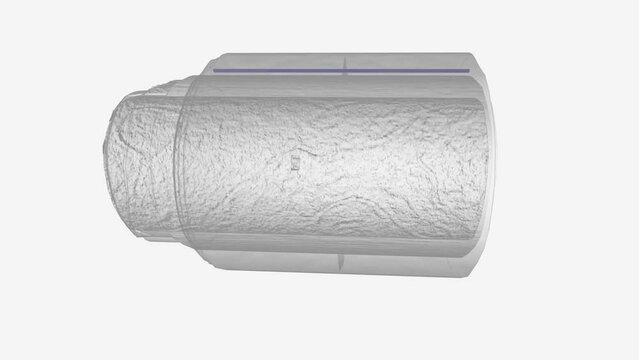 The superficial dorsal vein of the penis drains the prepuce and skin of the penis