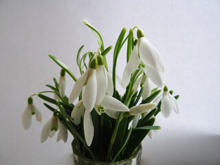 Wildflowers in a bouquet, white snowdrops in a glass of champagne, background image