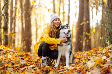 Smiling woman in a yellow coat walks with her cute pet Husky in the autumn forest in sunny weather....