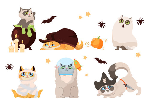 Funny comic cats in Halloween costumes vector illustrations set. Collection of drawings of cute kitten characters dressed as witch, ghost, mummy, alien, pirate. Pets, Halloween, decoration concept