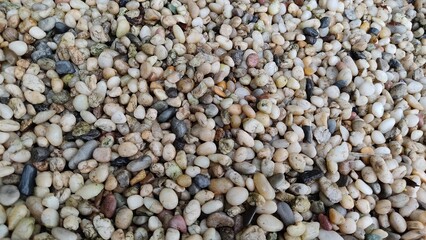 Rock garden 