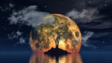 Selbstklebende Fototapete Vollmond und Bäume Moon with spooky tree