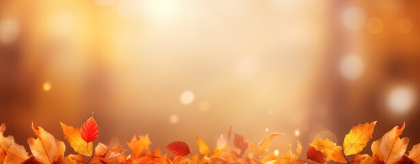 Autumn leaves and blurred background.