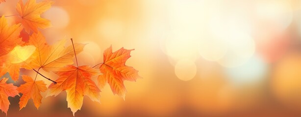 Naklejka na ściany i meble Autumn leaves and blurred background.