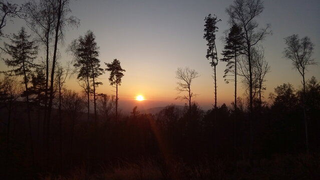 Sunset setting sun forest peaceful spectacular and breathtaking view in the woods