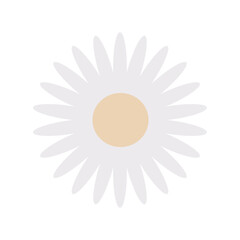 Vector flowers Cute flower elements, pastel colors.