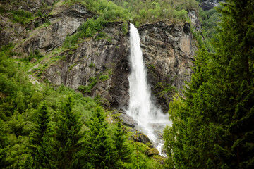 Fototapeta na wymiar The beauty of Norwegian nature. West Norway natural landscape along the route of the Flam railway