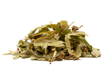 Dried linden flowers. Fresh flowers and leaves of linden isolated on white background. herbal medicine. Close up