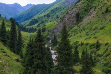 Obraz premium A beautiful mountain gorge with blue stormy river and a spruce forest on green hills and a cliff. Tekes Gorge Kazakhstan In summer