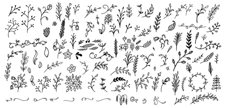 Line Hand-Drawn Flowers: A Beautiful Collection