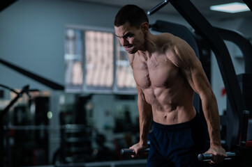 Fototapeta na wymiar Shirtless man doing triceps dips from parallel bars in gym. 