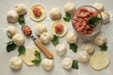 Cooking home food concept with raw dumplings