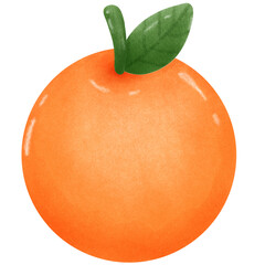 orange fruit illustration png