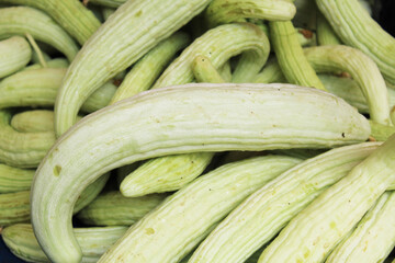 exotic vegetables Turkish cucumber (Acur or Hita)