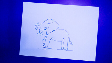 Elephant drawing on blue and white Background