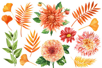 Chrysanthemum, dahlia, autumn yellow, orange leaves. Palm leaf. Watercolor clipart for greeting card, wedding invitation - 641261714