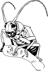 Grasshopper sketch illustration 1