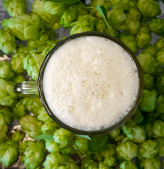A mug of beer stands among the hop cones. Hop beer photo on the side. On the table are hop cones and a large mug of beer.