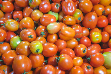 Fresh Tomatoes 01