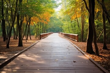 Fototapeta premium Path way through the autumnal forest