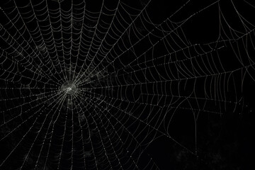 Bright Spider Web On A Dark Black Background Created With The Help Of Artificial Intelligence