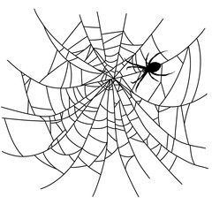Obraz premium Halloween spider web and spider black doodle outline. 