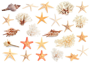 Set with sea stars, shells and corals isolated on white - obrazy, fototapety, plakaty