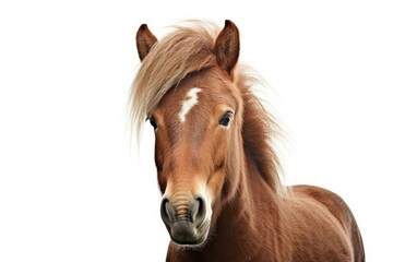 Obraz premium Pony photo realistic illustration - Generative AI.