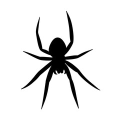 Spider black doodle outline.	