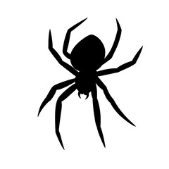 Spider black doodle outline.	