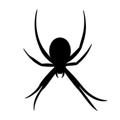 Spider black doodle outline.	