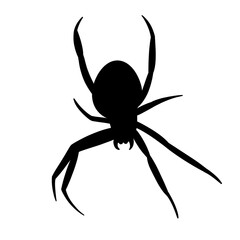 Spider black doodle outline.	